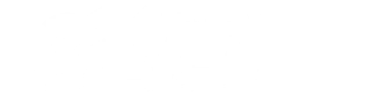 NPL Logo