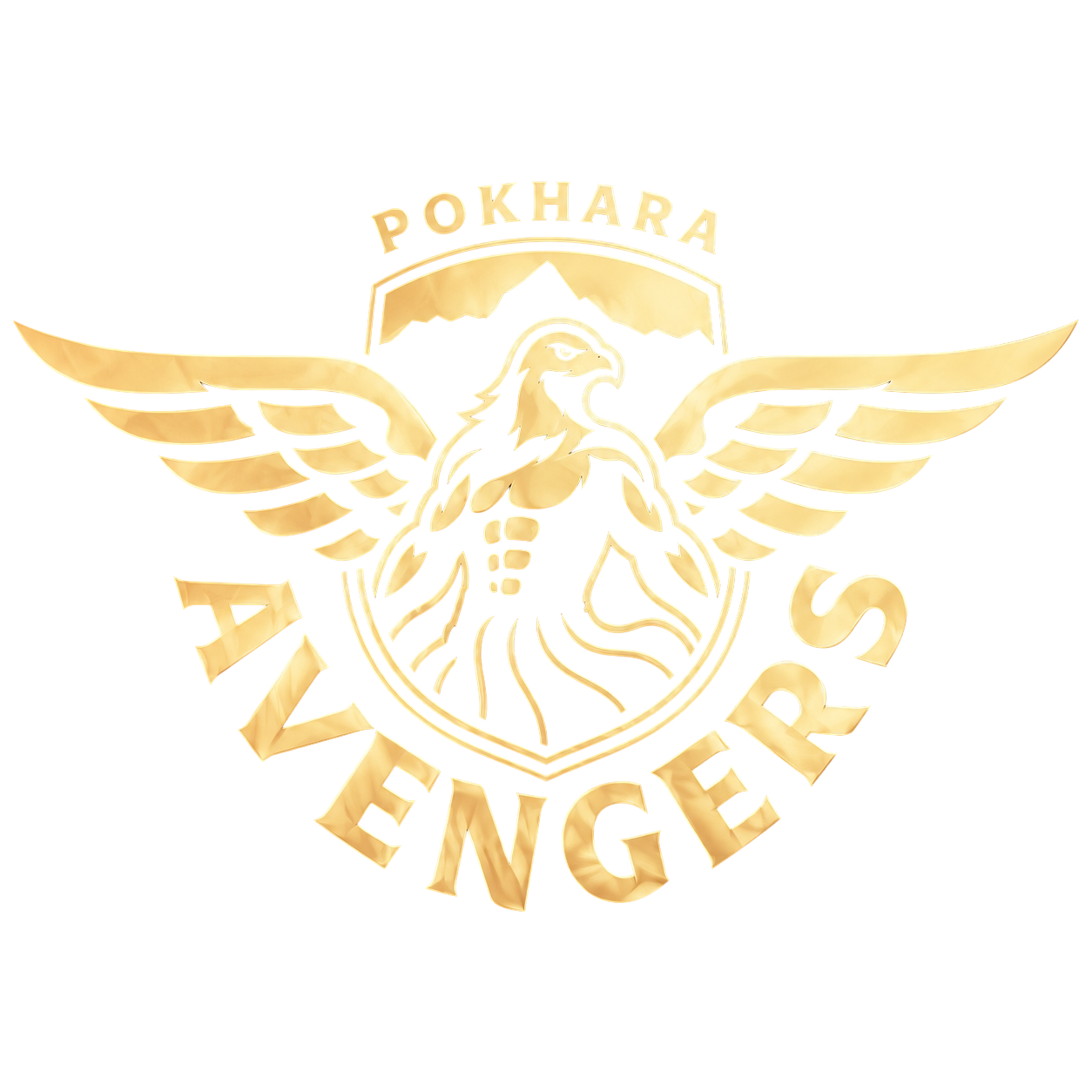 Pokhara Avengers